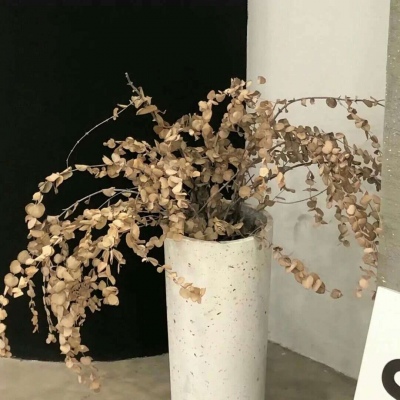 桐乡福瑞交流群